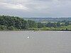 Birds on Chew Valley Lake at Herriots Bridge