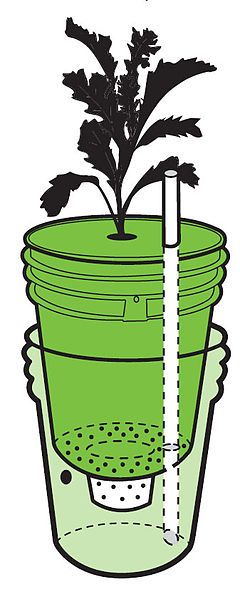 File:Self-watering-container.jpg