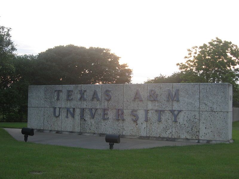 File:TAMU ESign.JPG