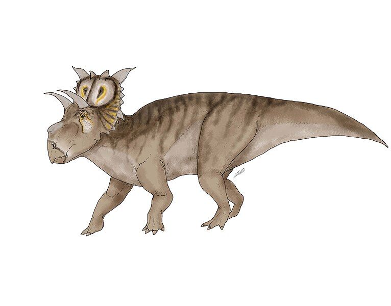 File:XENOCERATOPS2.jpg