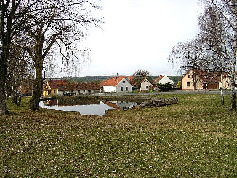 File:Česká Bříza, common.jpg