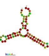 ASdes: Secondary structure taken from the Rfam database. Family RF01781