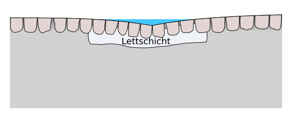 File:Baechle-Querschnitt-1.svg