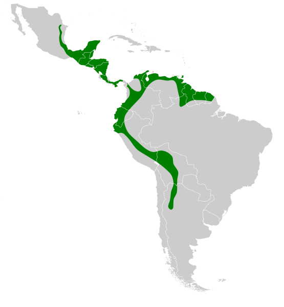 File:Colaptes rubiginosus map.svg