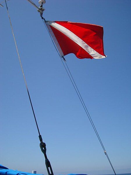 File:Diver Down Flag.jpg