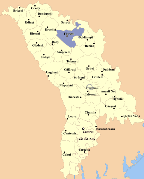 File:Floresti county.png