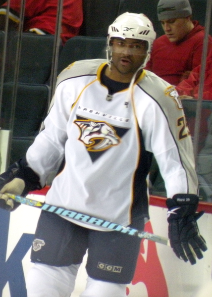 File:Joel Ward.png