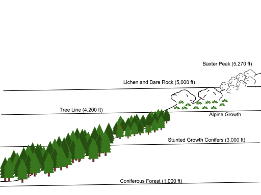 File:Katahdin Vegetation.svg