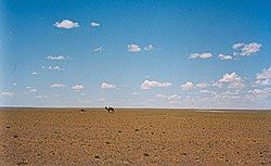 Landscape in Ömnögovi Province