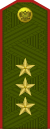 Colonel General