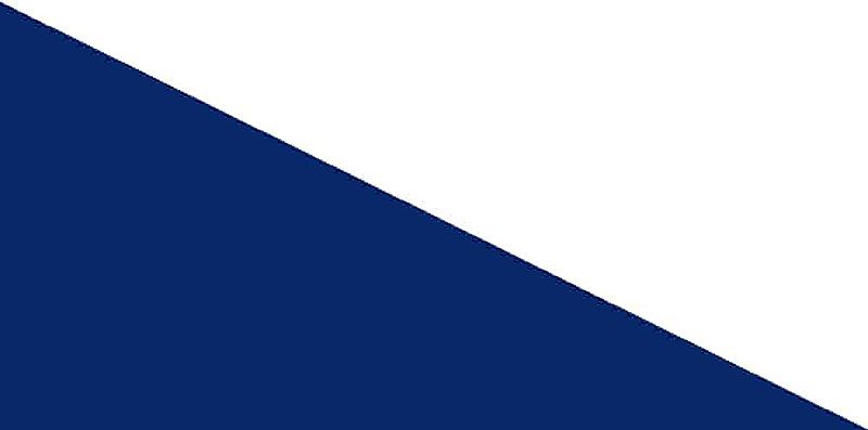 File:Sikh Akali flag.jpg