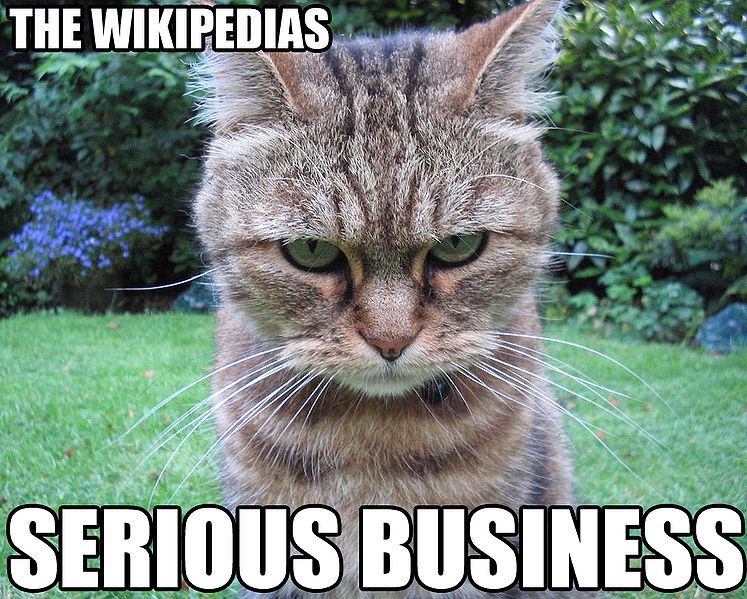 File:The wikipedias serious.jpg