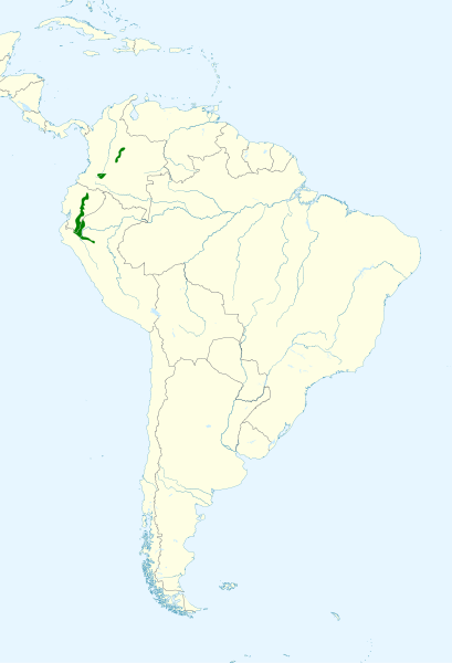 File:Touit stictopterus map.svg