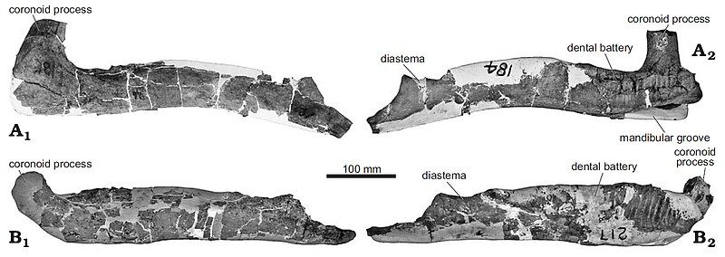 File:Wulagasaurus.jpg