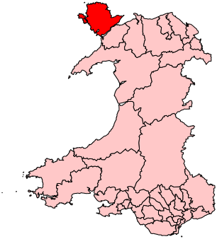 File:YnysMon2007Constituency.svg