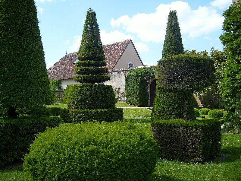 File:Chateau d'Azay-le-Ferron Topiary.JPG