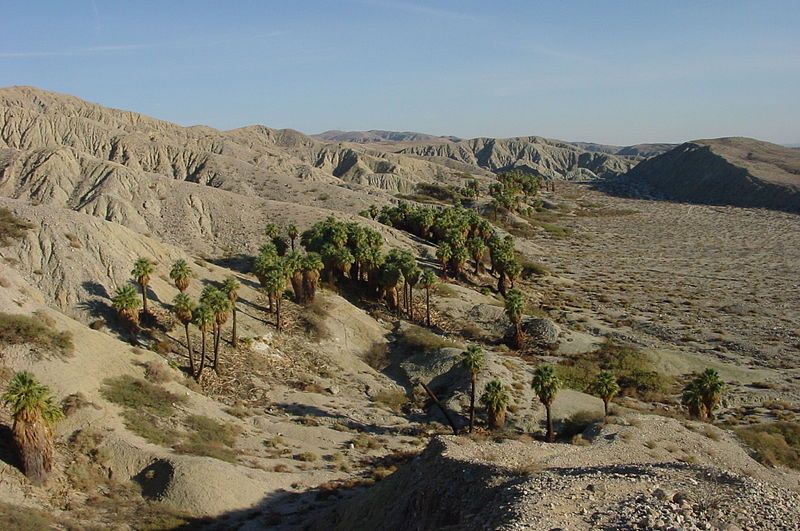 File:CoachellaValleyPreserve.jpg