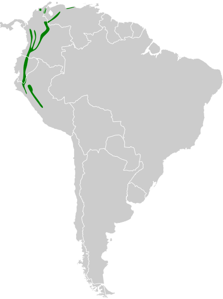 File:Diglossa albilatera map.svg