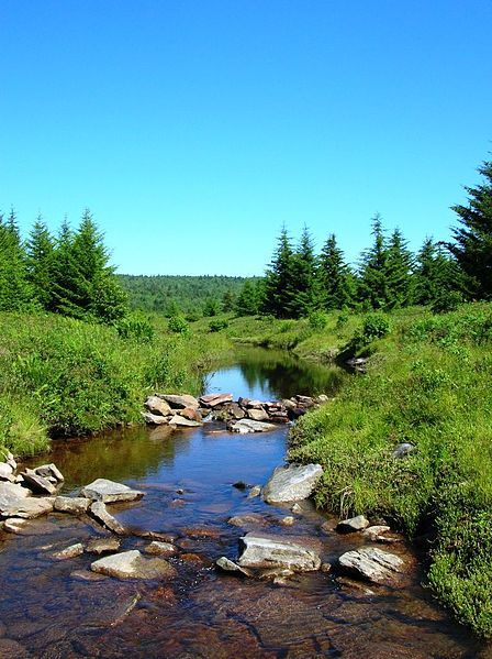 File:Dolly-Sods-Red-Creek.jpg