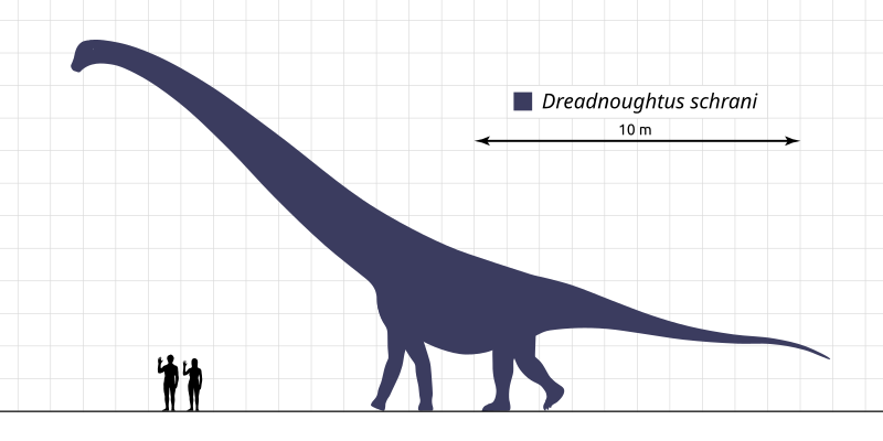 File:Dreadnoughtus-Scale-Diagram-SVG-Steveoc86.svg