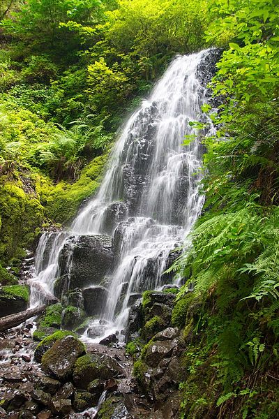 File:Fairy Falls (Oregon).jpg