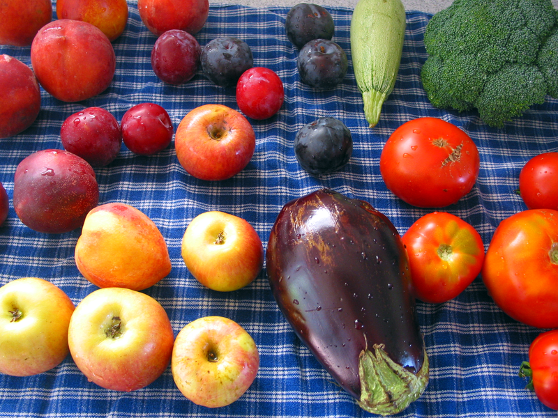 File:Fruits veggies.png