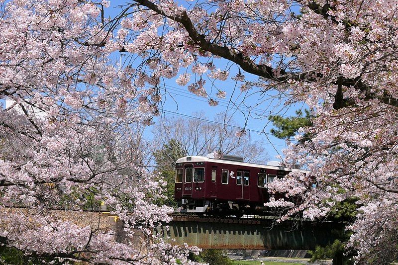 File:Hankyu-Koyo-Line.jpg