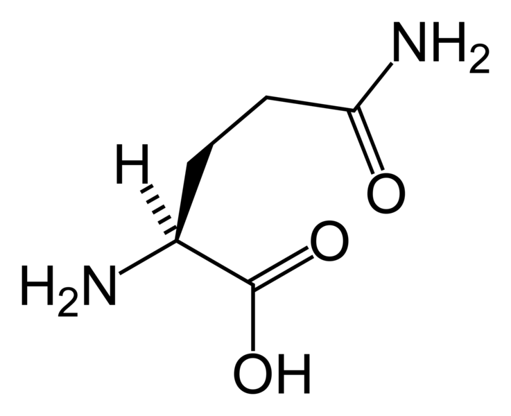 File:L-glutamine-skeletal.png