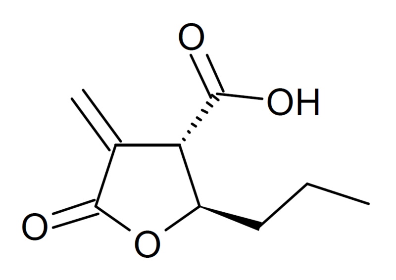 File:MB-3 structure.png