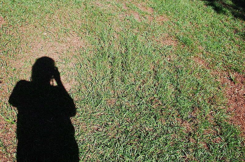 File:My shadow DSC1330.jpg