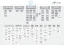 Structure of the University Hospital Bonn