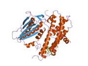 2bu7: CRYSTAL STRUCTURES OF HUMAN PYRUVATE DEHYDROGENASE KINASE 2 CONTAINING PHYSIOLOGICAL AND SYNTHETIC LIGANDS