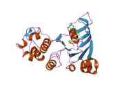 2cbz: STRUCTURE OF THE HUMAN MULTIDRUG RESISTANCE PROTEIN 1 NUCLEOTIDE BINDING DOMAIN 1