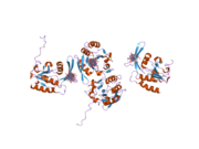 2hhl: Crystal structure of the human small CTD phosphatase 3 isoform 1