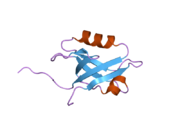 2ozf: The crystal structure of the 2nd PDZ domain of the human NHERF-1 (SLC9A3R1)