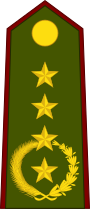 File:Paraguay-Army-OF-9.svg