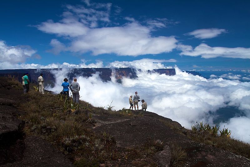 File:Roraima cliffs3.jpg