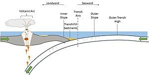 Trench fill sedimentary basin in the context of a convergent plate boundary