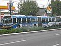 A TransLink articulated bus running route #491 Burrard Station.