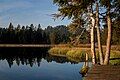 Etang de la Gruère