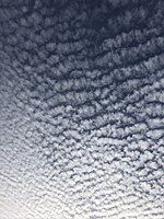 Altocumulus mackerel sky clouds over Burlington, Canada.