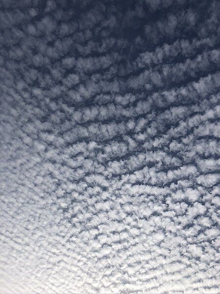 File:Altocumulous clouds.jpg