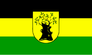 File:Apolda Hissflagge.svg