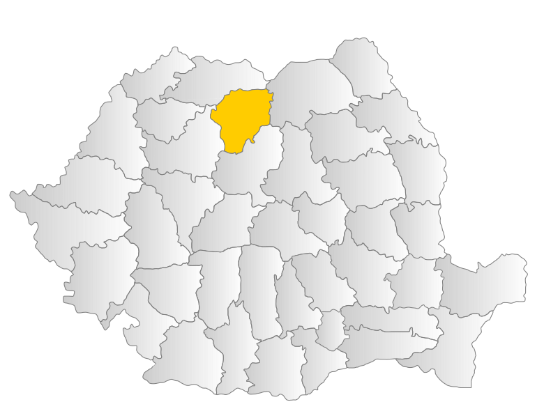 File:Bistrita-Nasaud.svg