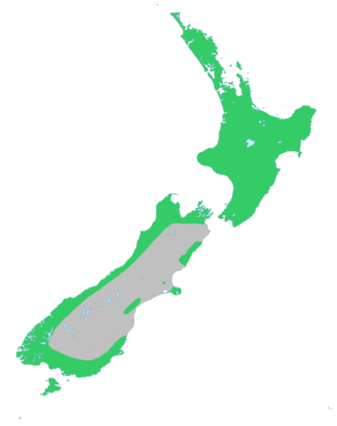 File:Kahikatea-natural-range.png