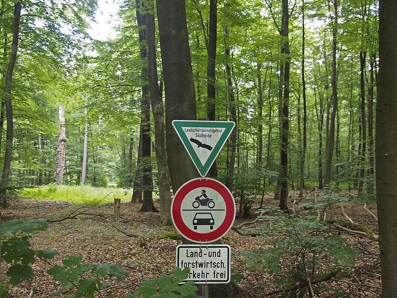 File:Lüßwald Unterlüß.JPG