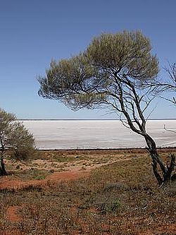 Lake Hart is one of the smaller lakes in the basin[1]