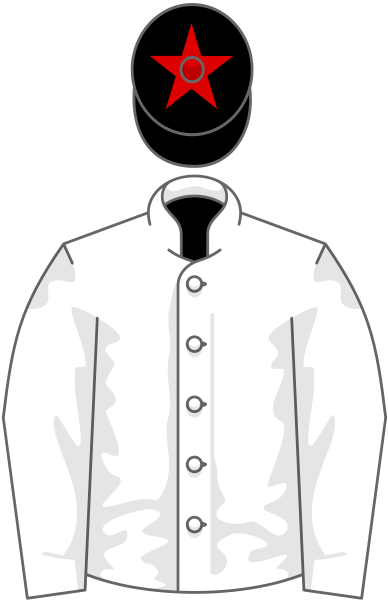 File:Owner Syndicates Racing.svg