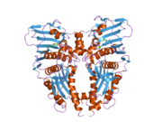 1zxm: Human Topo IIa ATPase/AMP-PNP