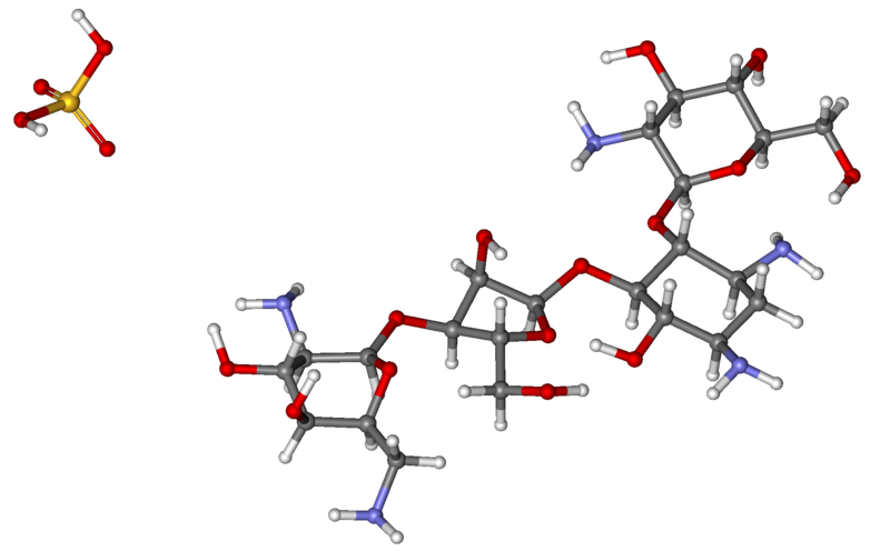 File:Paromomycin ball-and-stick.png